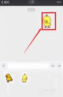  哪里设置微信gif小黄鸭表情