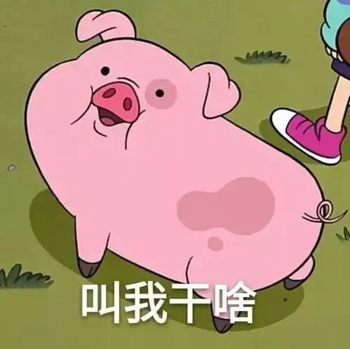 我们所憧憬的大学生活  我们所憧憬的大学生活