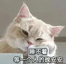  表情包睡不着在等一个人的晚安