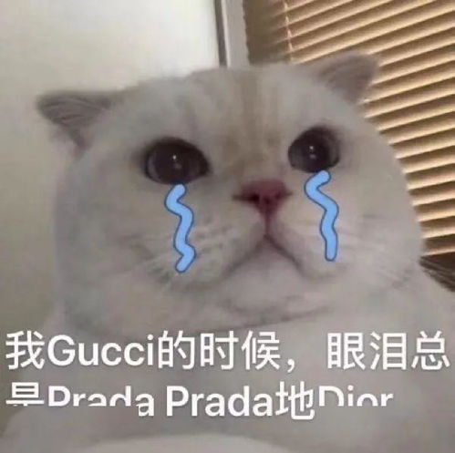  神装秀让对手发抖让队友无忧,手握核武的69战甲你不得不服