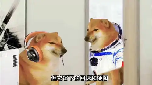  表情包小狗cheems去世,给网友情感带来沉重打击