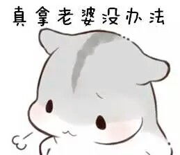  小仓鼠表情包萌萌哒的图片可爱表情情侣