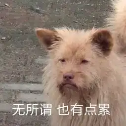  无意间抓包过很多不见光的猛料,比如前男友的嫖娼记录