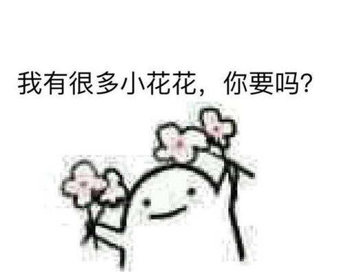  求这张图里拿着很多七彩花那个表情包
