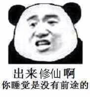  修仙表情包不睡觉修仙表情包黑眼圈熊猫修仙表情包