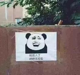  上海人被垃圾分类逼疯,南宁也将要实行,请问崇左会有吗
