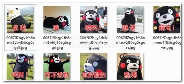  熊本熊口头语表情包熊本熊日常口头语qq表情中文版软件下载