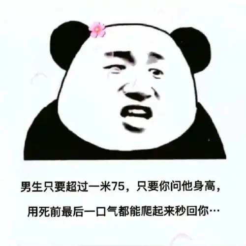 真怂表情包陪我