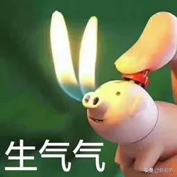 刚杀的猪一夜被偷走50多斤,一查监控小偷不是人