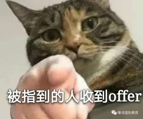  2022申请季offer发放进度如何15所英国大学,100专业已开始营业
