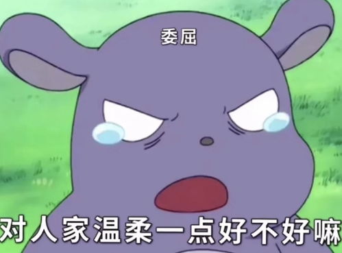  巴库老婆奴表情包