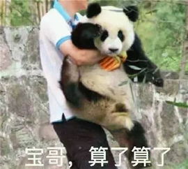  中国大熊猫惨遭退货马来西亚再不送走就要被吃垮了