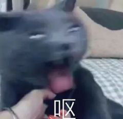 恶心心讨厌厌表情包表情