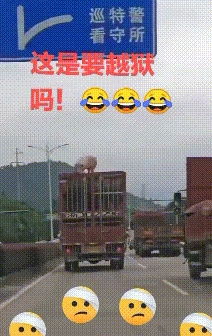  搞笑gif想要闺蜜的表情包或许一块柠檬就够了