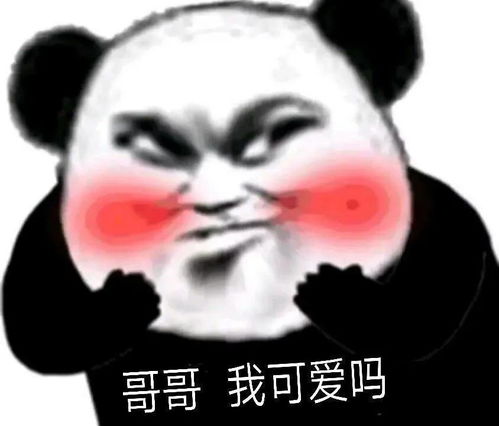 熊猫修仙表情包等级化神