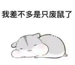  可爱的仓鼠表情包