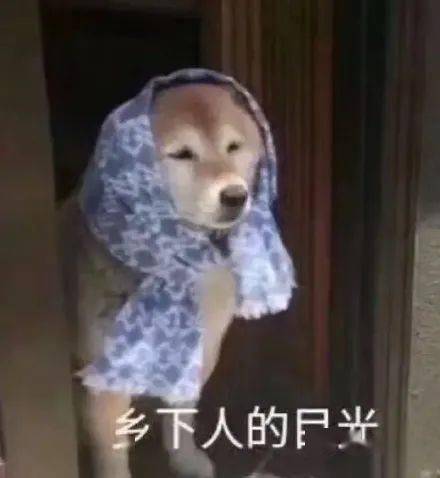  四处搜刮来无水印表情包,分享给大家