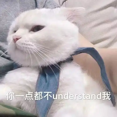 今日神段丨狗年春晚的爆笑梗都在这儿了,段子手们真是拼命20180216