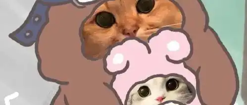  情侣头像超可爱的猫猫情头