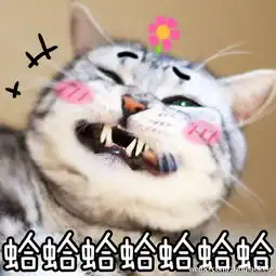  你好请问图中的贴纸表情熊猫眼添加文字这是什么app软件啊