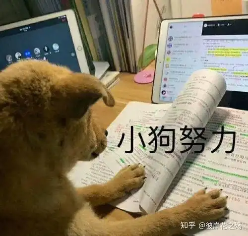  三个月备考托福从零到114,我是怎么做到的