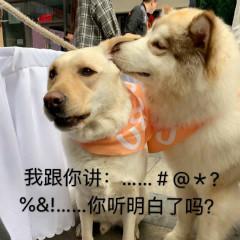 所谓穷买苹果,富买华为,几点告诉你真正的购买区别是什么