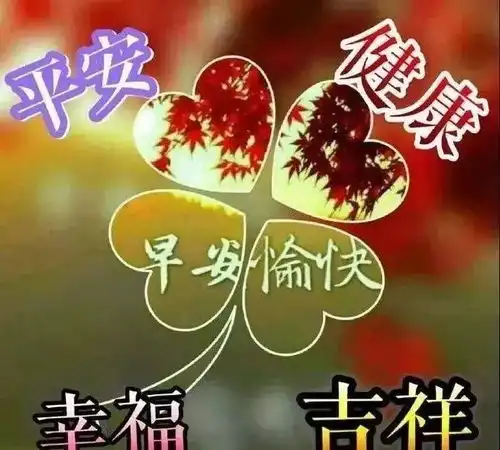  最新版早上好鲜花漂亮美女图片问候祝福语录大全