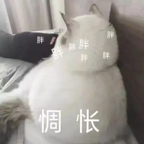  减肥朋友圈文案表情包精心整理