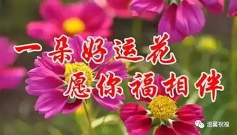 夏至到,送给群里的群友,让你清凉一夏打开看看