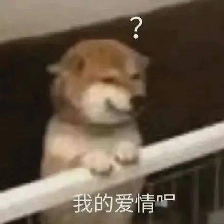  谈恋爱被气笑的瞬间网友评论是我没想到的