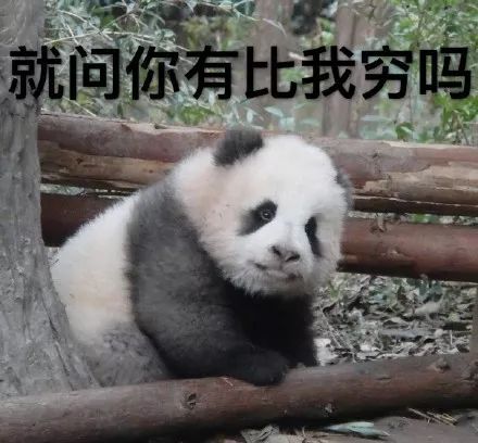  攻守道,你看了吗