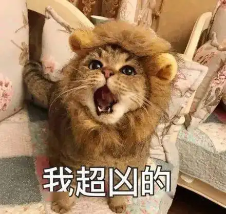  今日表情推荐,510