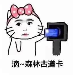  预约打卡好去处,百丈这条新修的森林古道也太美了点吧