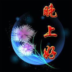  晚上好微信表情晚上好表情包