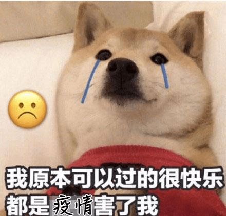  全国31省市区发布紧急提醒非必要不出省,不离市