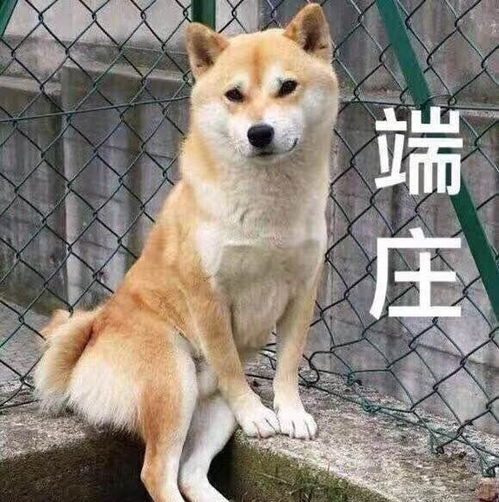  1收藏夹