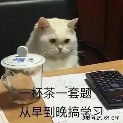 八月考研计划经验分享 八月考研计划经验分享