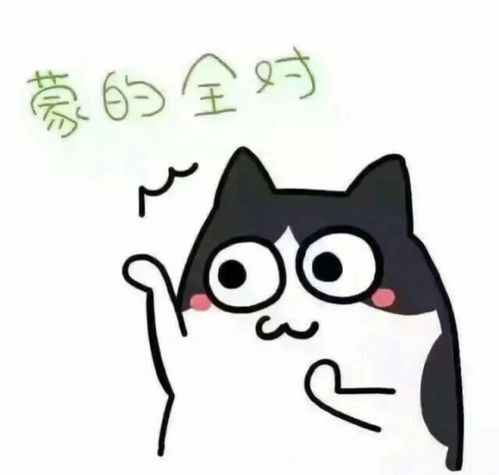  你们宿舍群名字叫啥