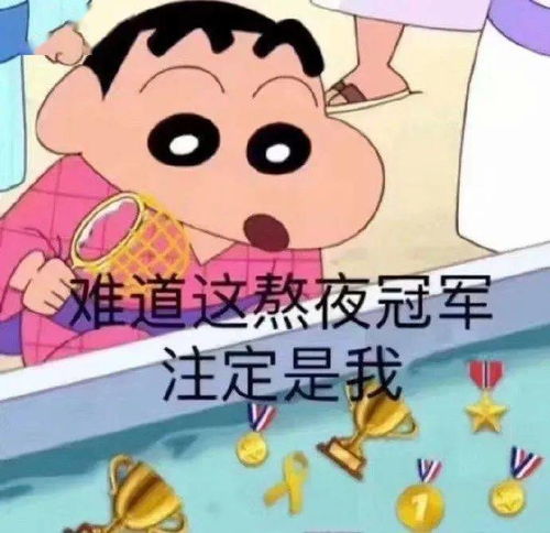  蜡笔小新表情包你失去我了