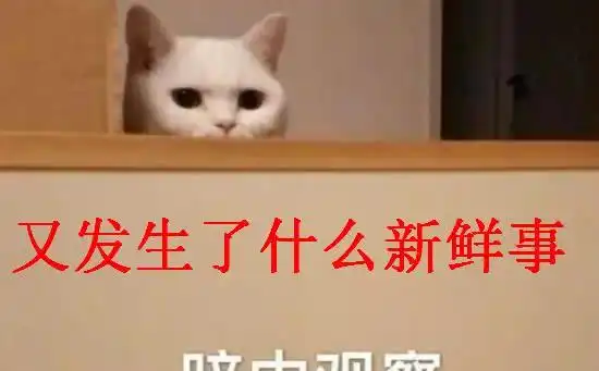 在线表情包沙雕实习