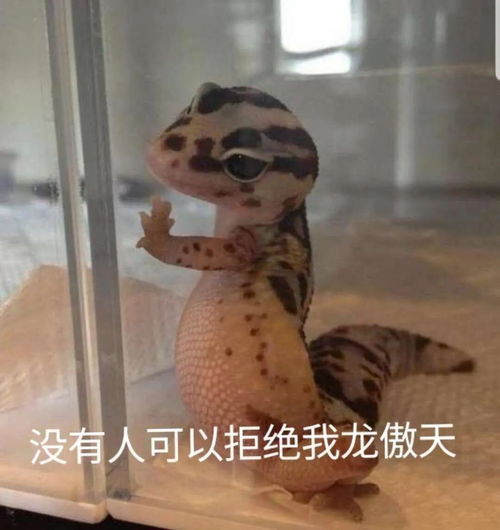  第一次穿高跟鞋,结果哈哈哈真实...