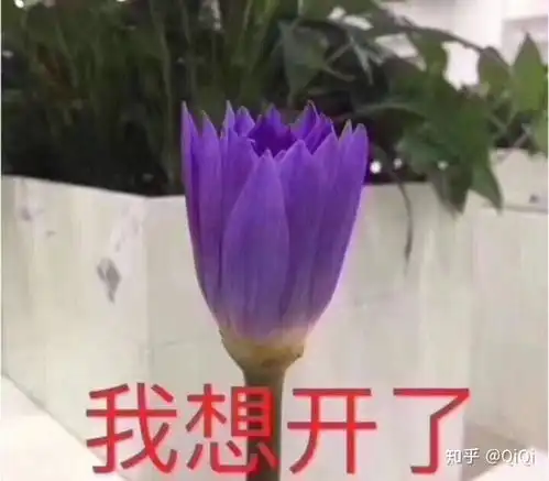  那些考研成功的人后来怎样了