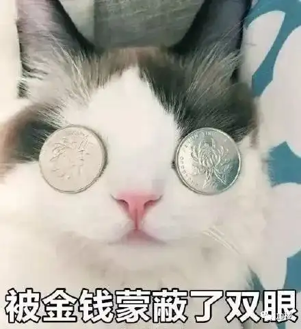  在杭州,你到底要有多少钱才能过上网红小猪佩奇的生活答案扎心了网友它该不会是豪猪吧
