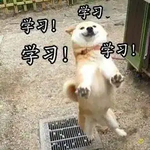  大学生寒假生存指南,再不看就晚了