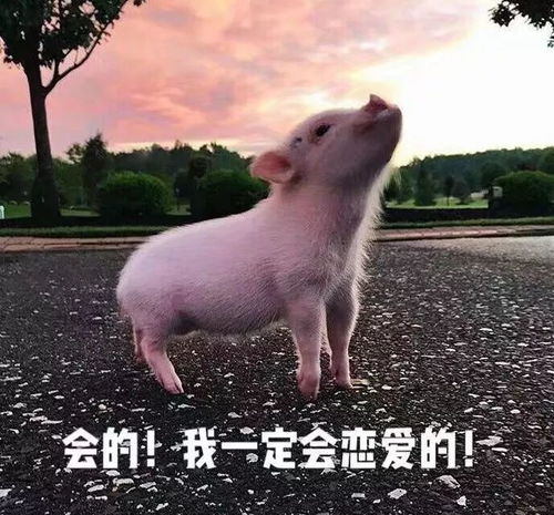  你经历过异性最撩的事情是什么