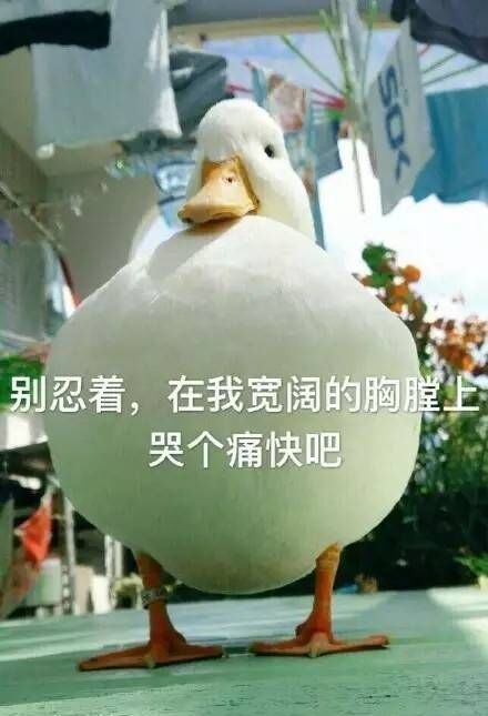  萌新上课的第一天,带你领略南审奇观