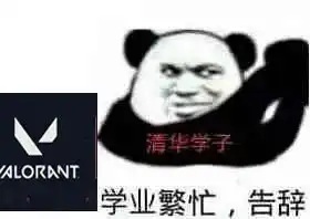  网友95块买到世界冠军账号,私聊还号无人理硬生生被逼成广告哥