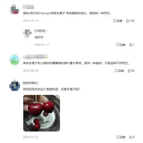  车厘子是cherry那么士多啤梨是什么梨