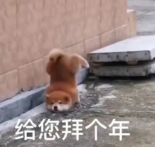  又一部硬核剧作定档,这阵容稳了