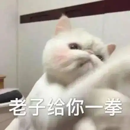  猫养不熟这些让它讨厌的行为,你中了几个...